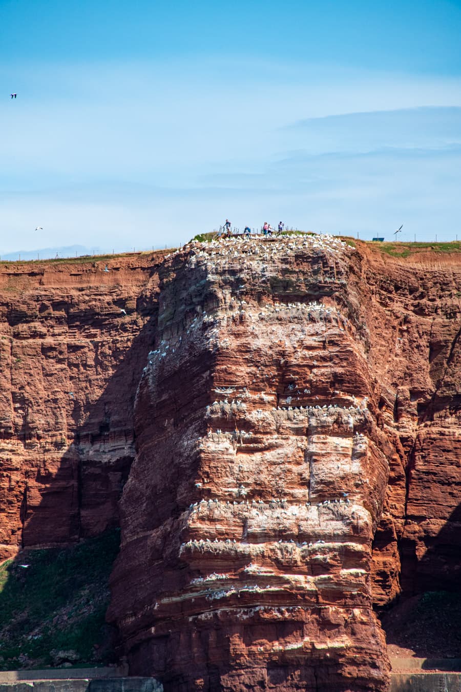 Helgoland Klippen