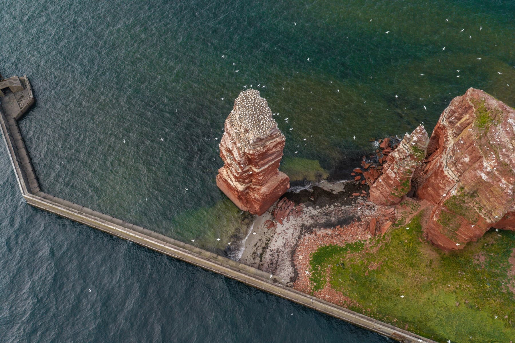 Die Lange Anna und die Basstölpelkolonie von Helgoland aus der Luft