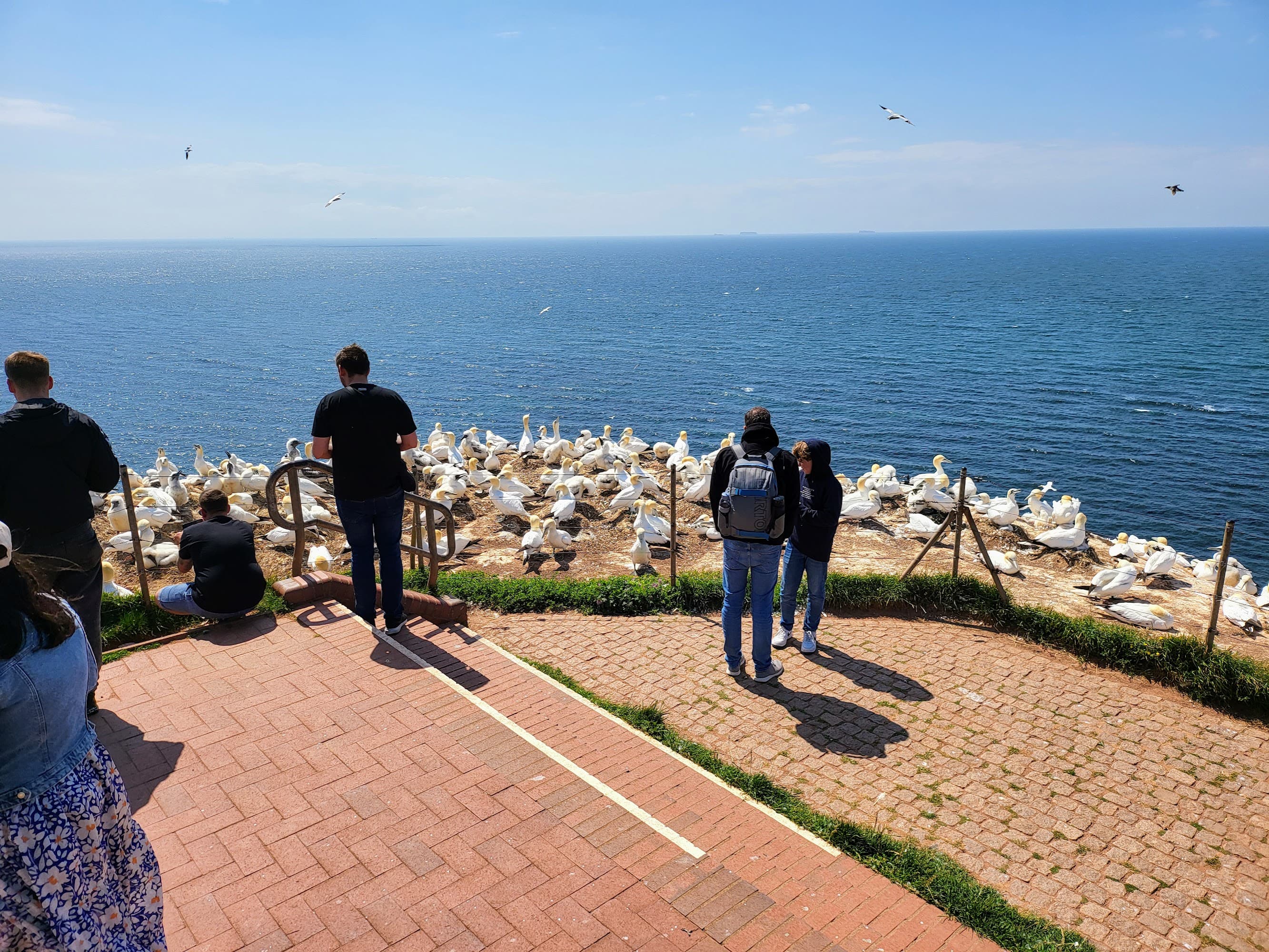 Helgoland Klippen und Besucher